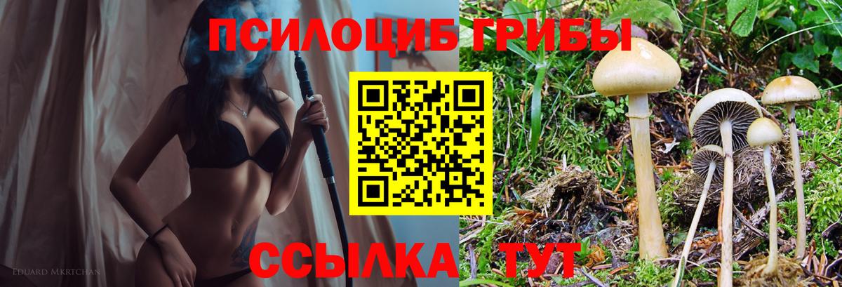 наркошоп  Вход с VPN  Кашира  Псилоцибиновые грибы мицелий 